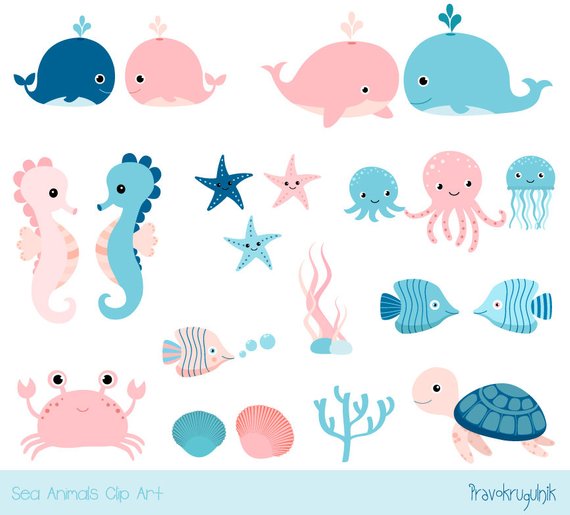 Cute sea animal clipart, Kawaii ocean clipart, Baby girl