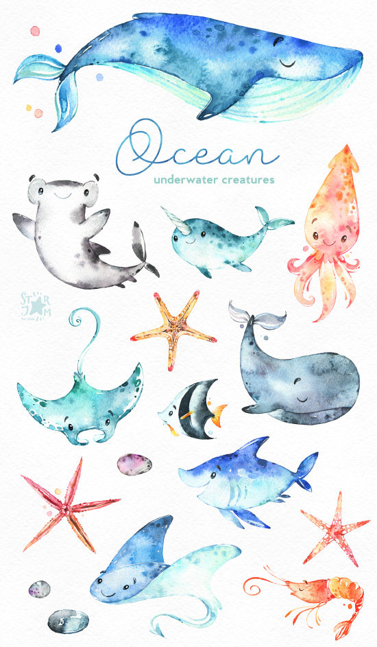Ocean underwater creatures.