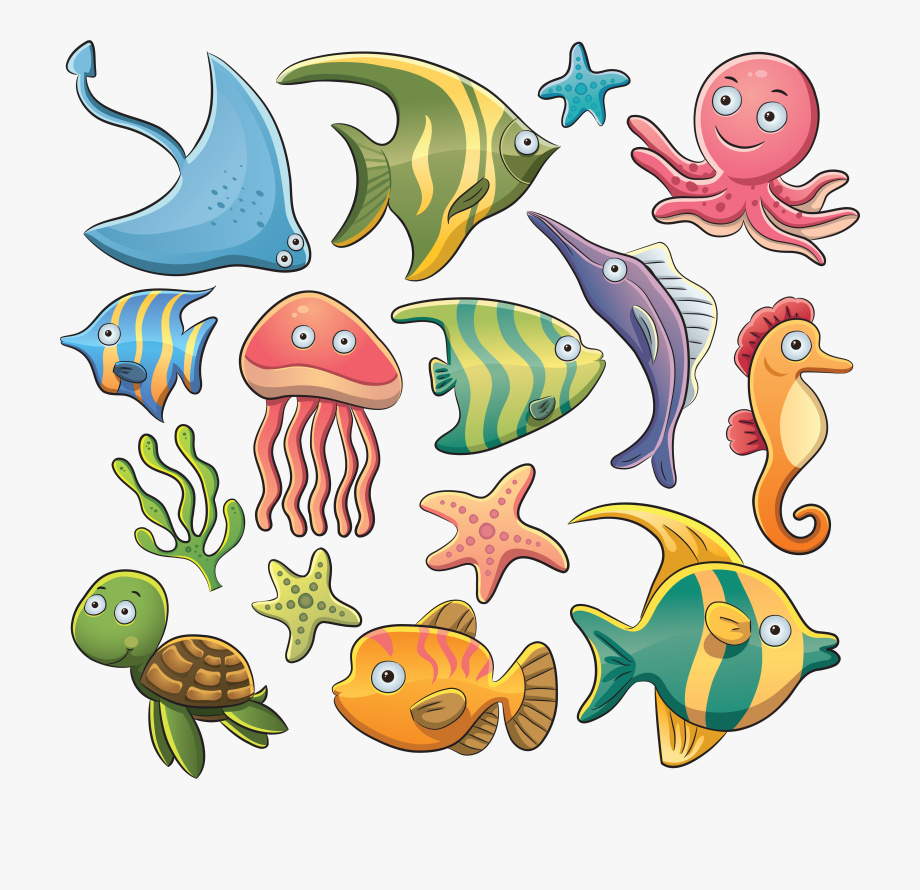 Aquatic Animal Sea Clip Art