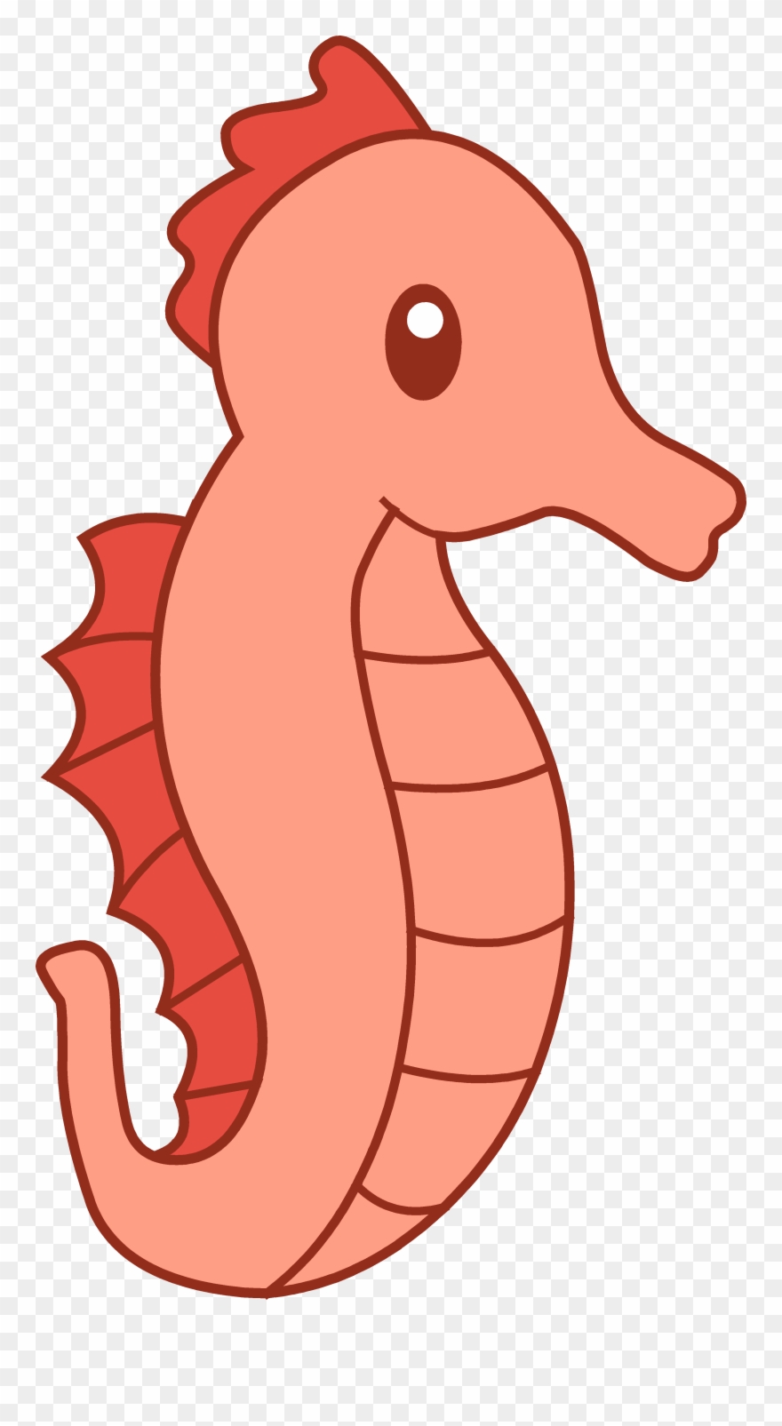 Cute red seahorse.