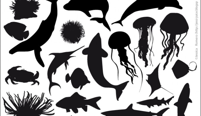 Sea animals silhouette.