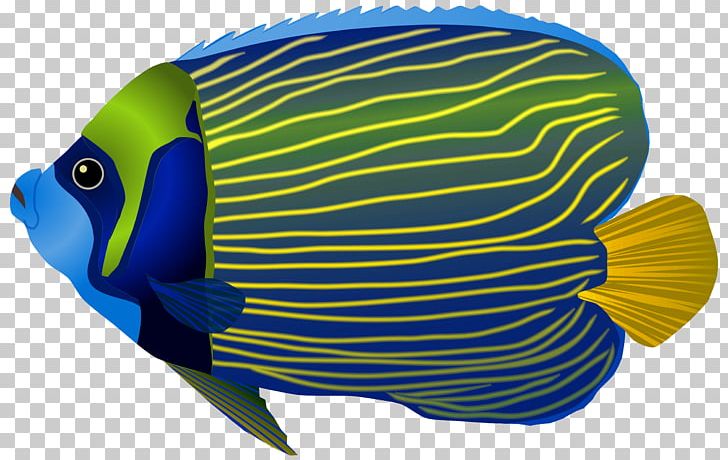 Fishing Tropical Fish PNG, Clipart, Animals, Blue, Bluefish