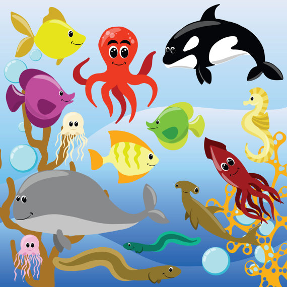 Sea animals clipart, Sea clip art, Digital clipart animals