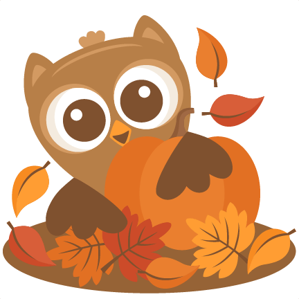 Free owl pumpkin.