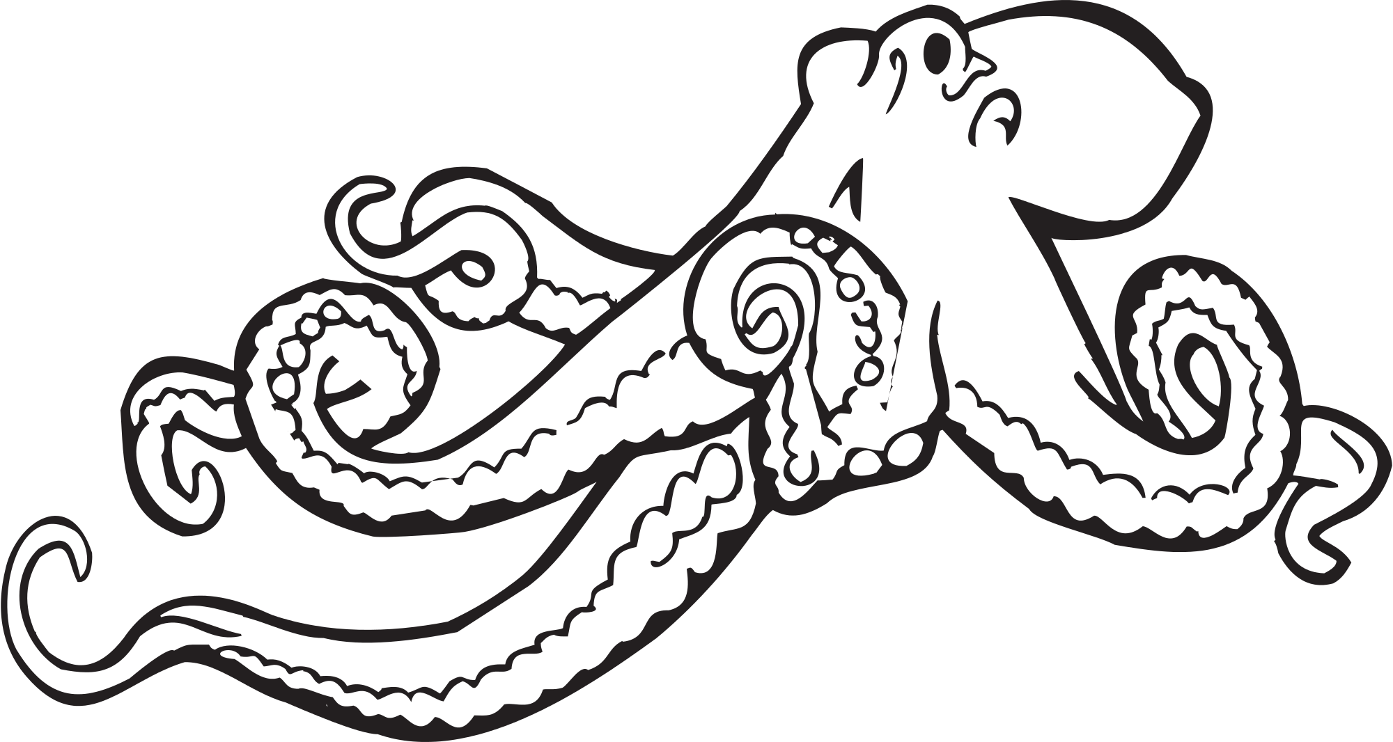 Octopus clipart illustrations.