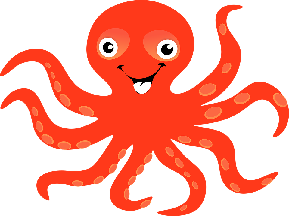 Octopus clipart gambar pencil and in color png