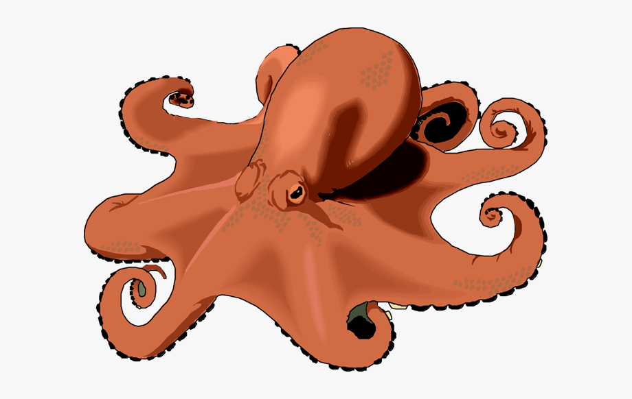 Octopus Clipart Free Clipart Images