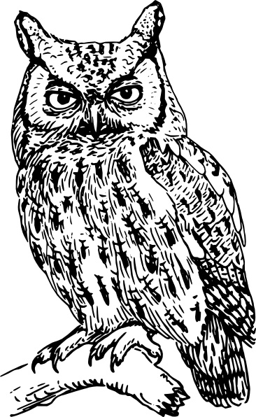 Owl clip art Free vector in Open office drawing svg