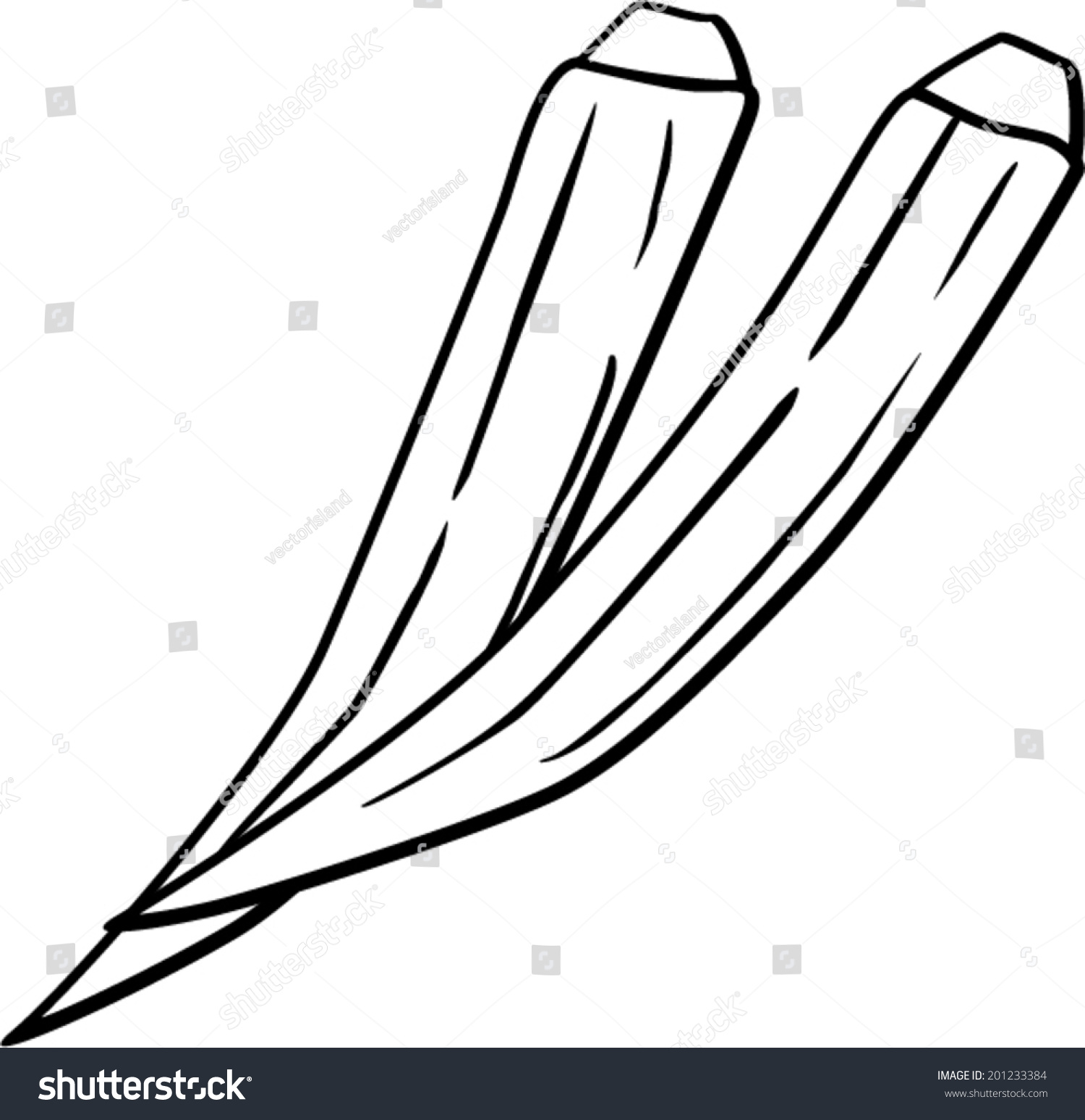 Okra black and white clipart