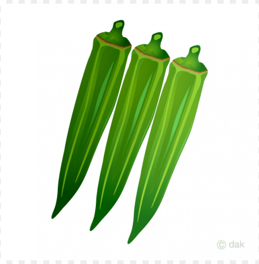 Okra clipart PNG image with transparent background