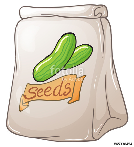 A pack of vegetable seeds