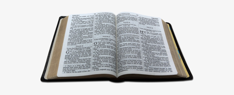 Open bible biblia.