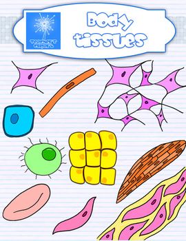 Plant and Animal Cell organelles and tissues clipart