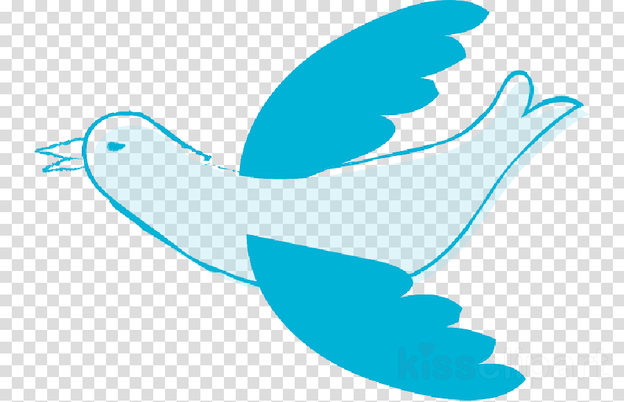 Email, Computer Icons, Bird, transparent png image