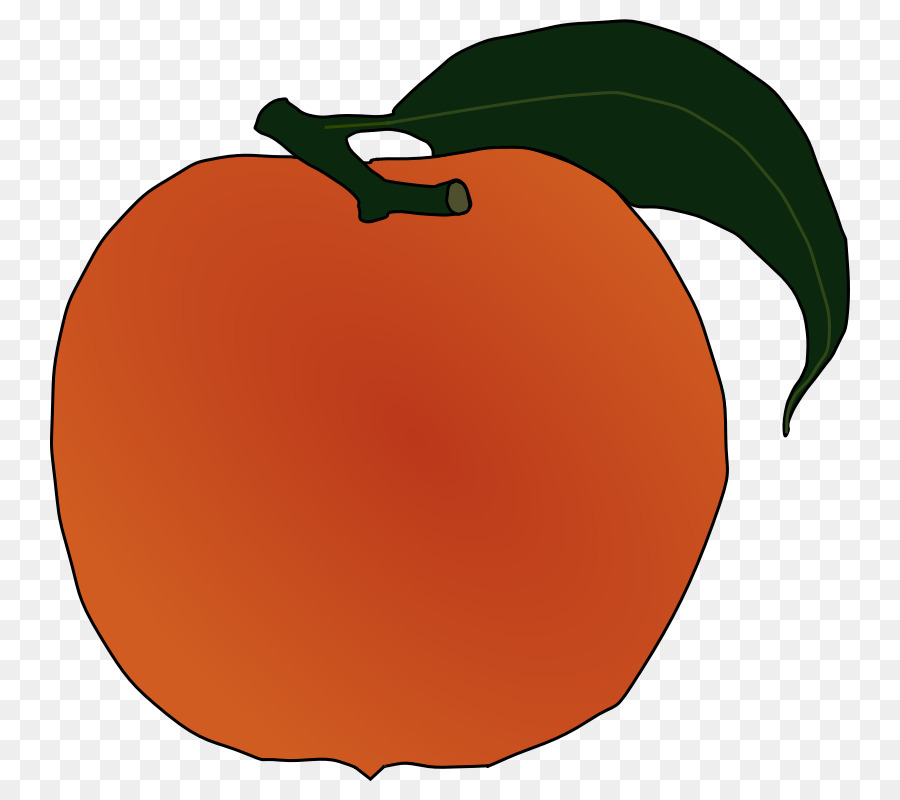 Clip art Peach Image Vector graphics Openclipart