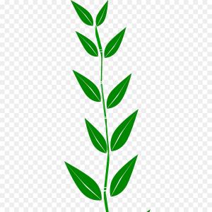 Silhouette Stems With Few Leaves Vector