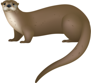 Free otter cliparts.