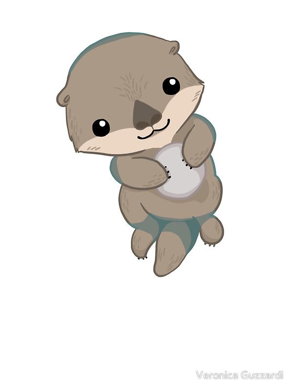 Cute otter pup.