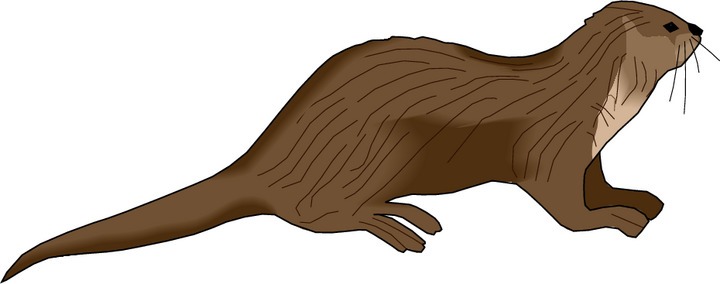 Otter clipart brown.