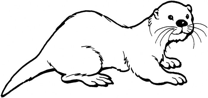 Otter Coloring Page Otter clipart otter coloring page