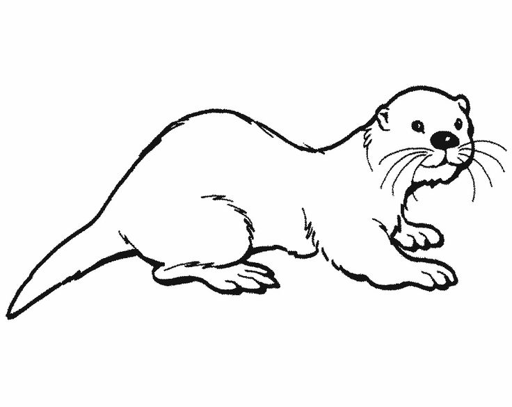Otter clipart black and white
