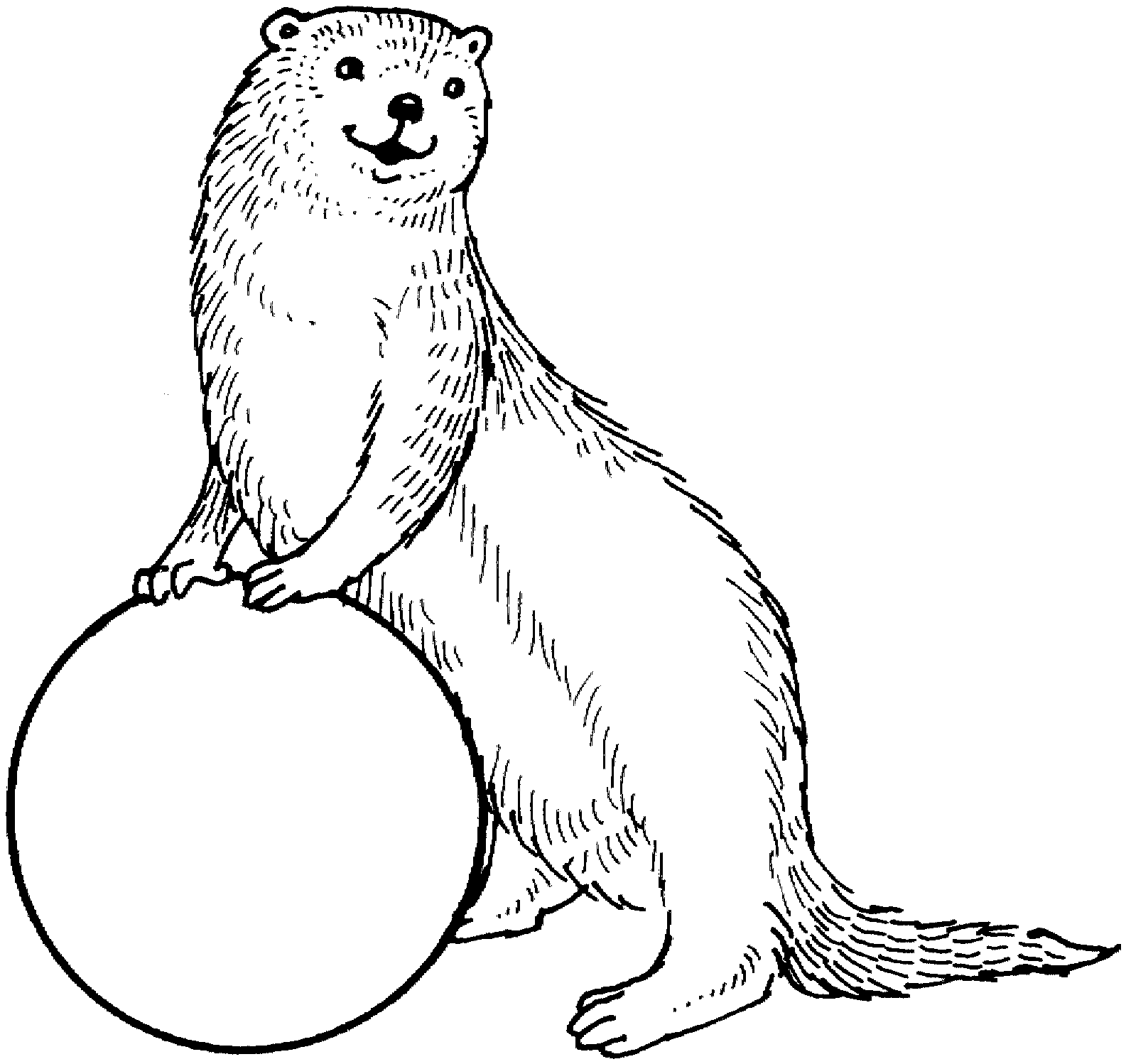 Otter clipart outline.