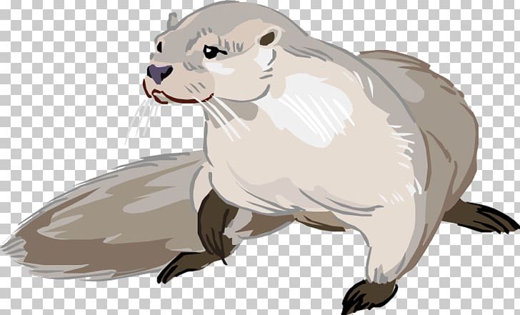 Sea Otter North American River Otter Drawing Cartoon PNG