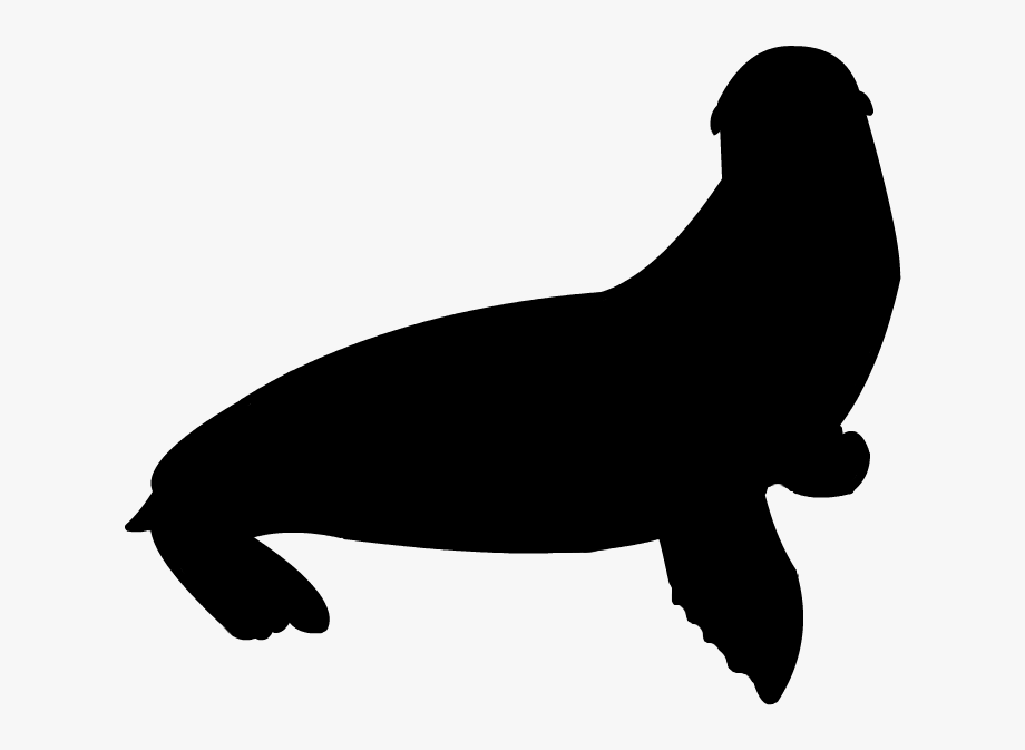 Sea Lion Clipart Sea Otter