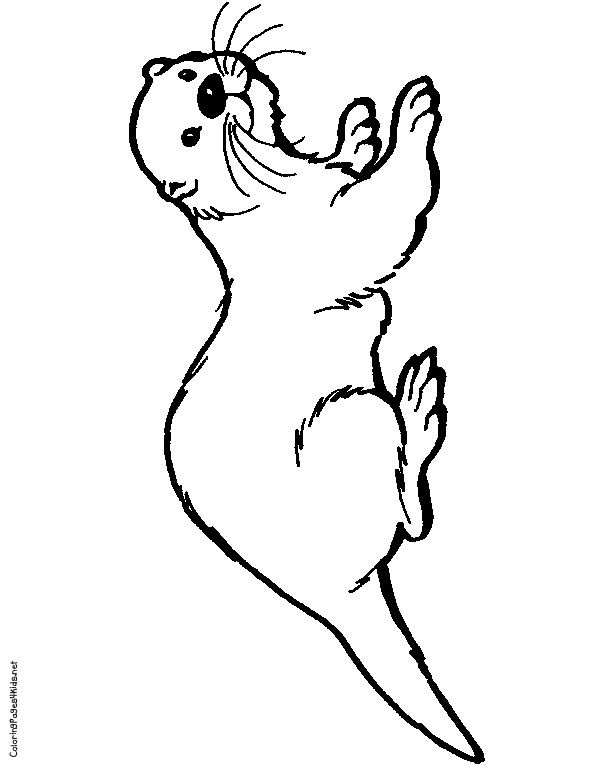 Simple otter drawing.