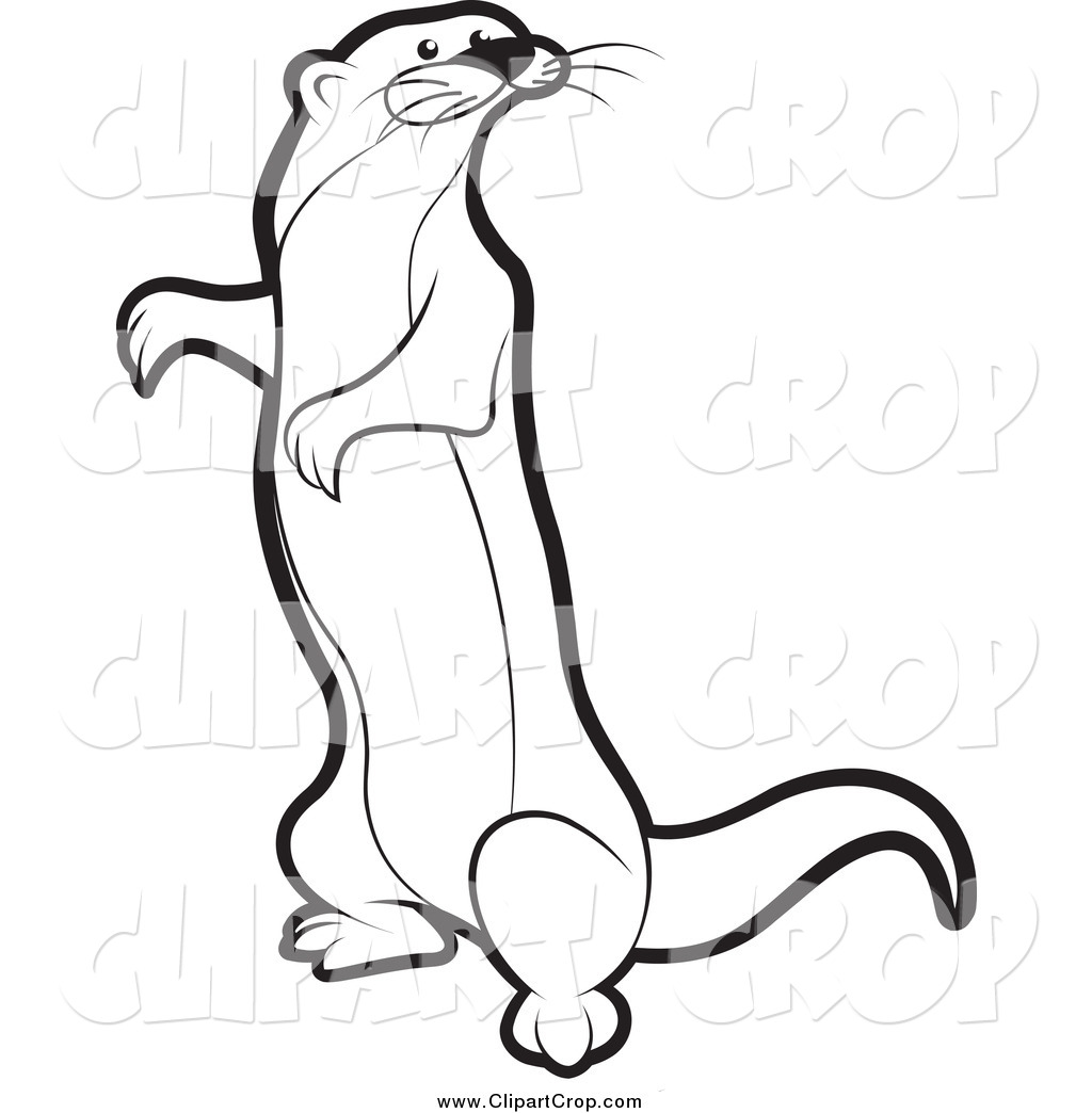Otter Outline Drawing