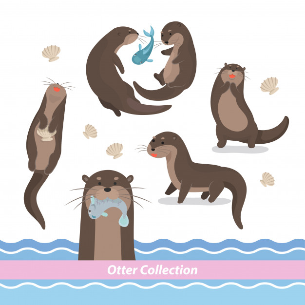 Cartoon swimming otter.
