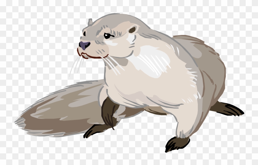 Otter png photo.