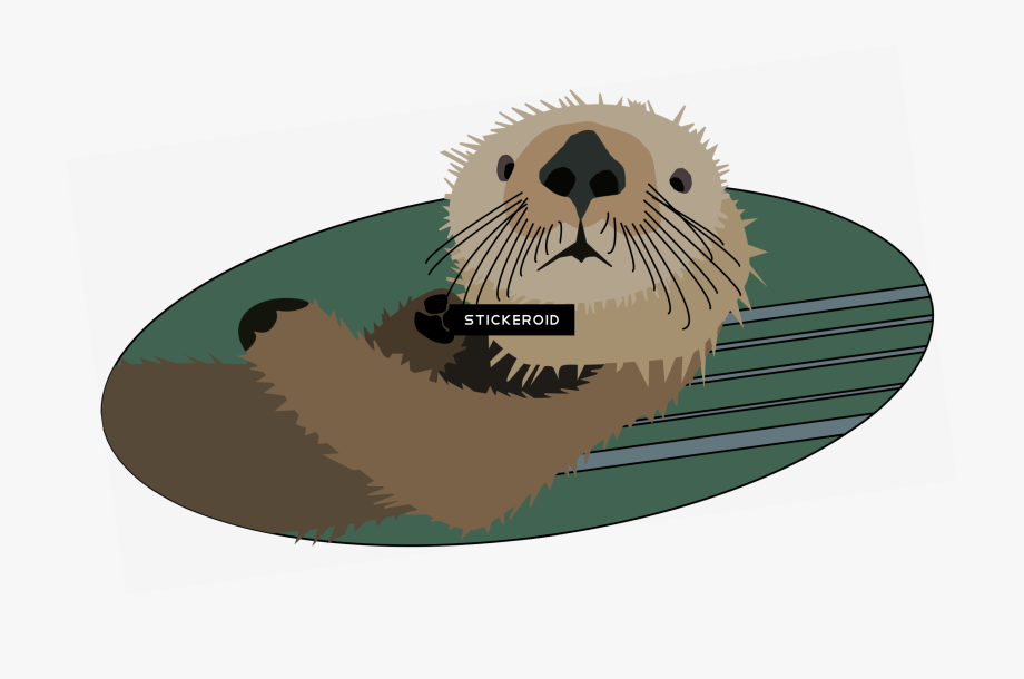 Transparent Background Sea Otter Clipart