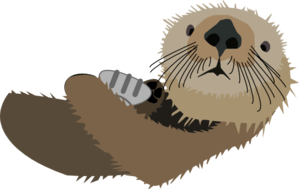 Otter with shell.