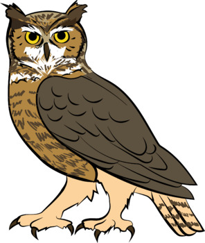 Great Horned Owl Clipart