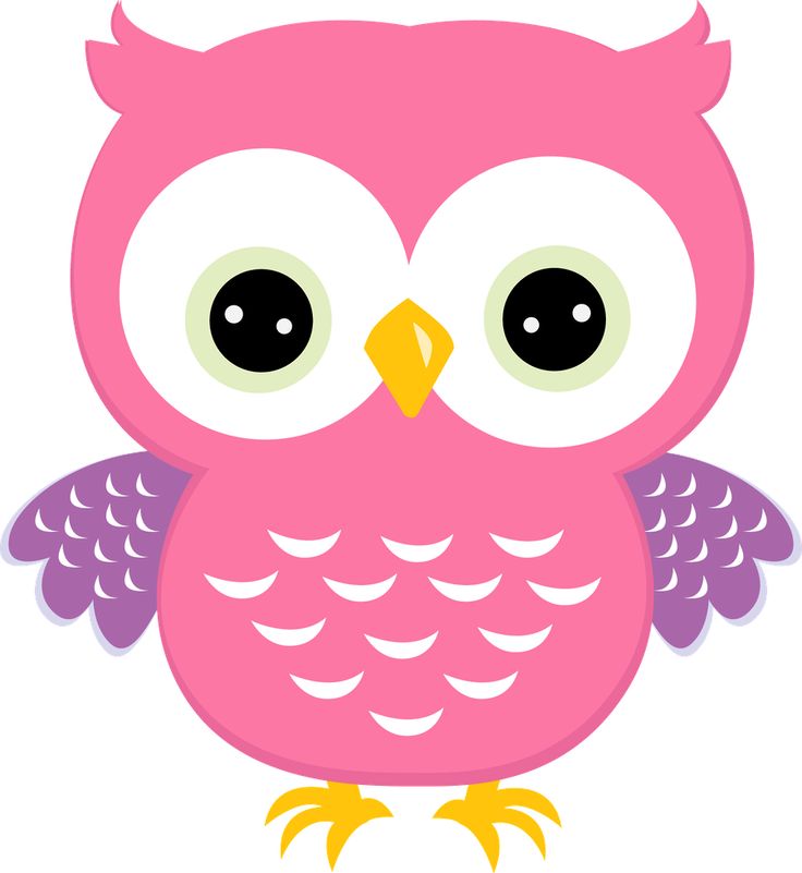 Baby owl clipart.