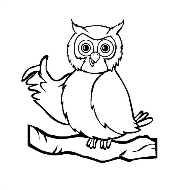 White owl drawing.