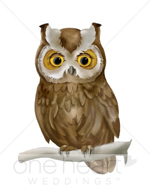 Brown owl clipart.
