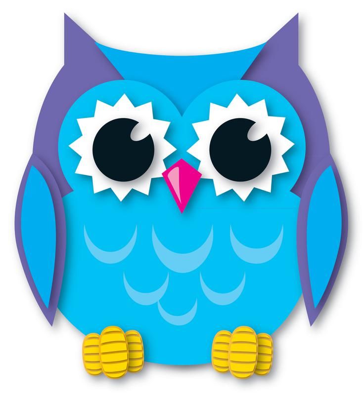 Colorful owl clipart.