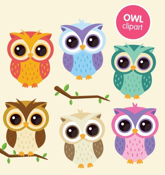 Owl clipart commercial.