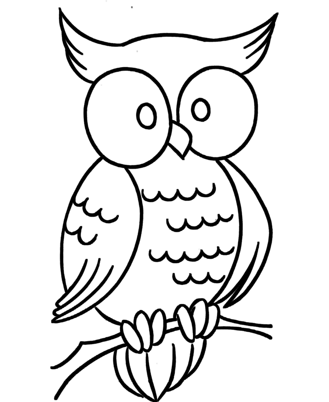 Free Picture Of Cartoon Owl, Download Free Clip Art, Free