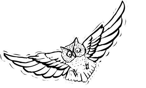 Free flying owl.