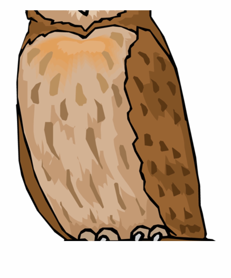 Vector Royalty Free Owl Clipart Free