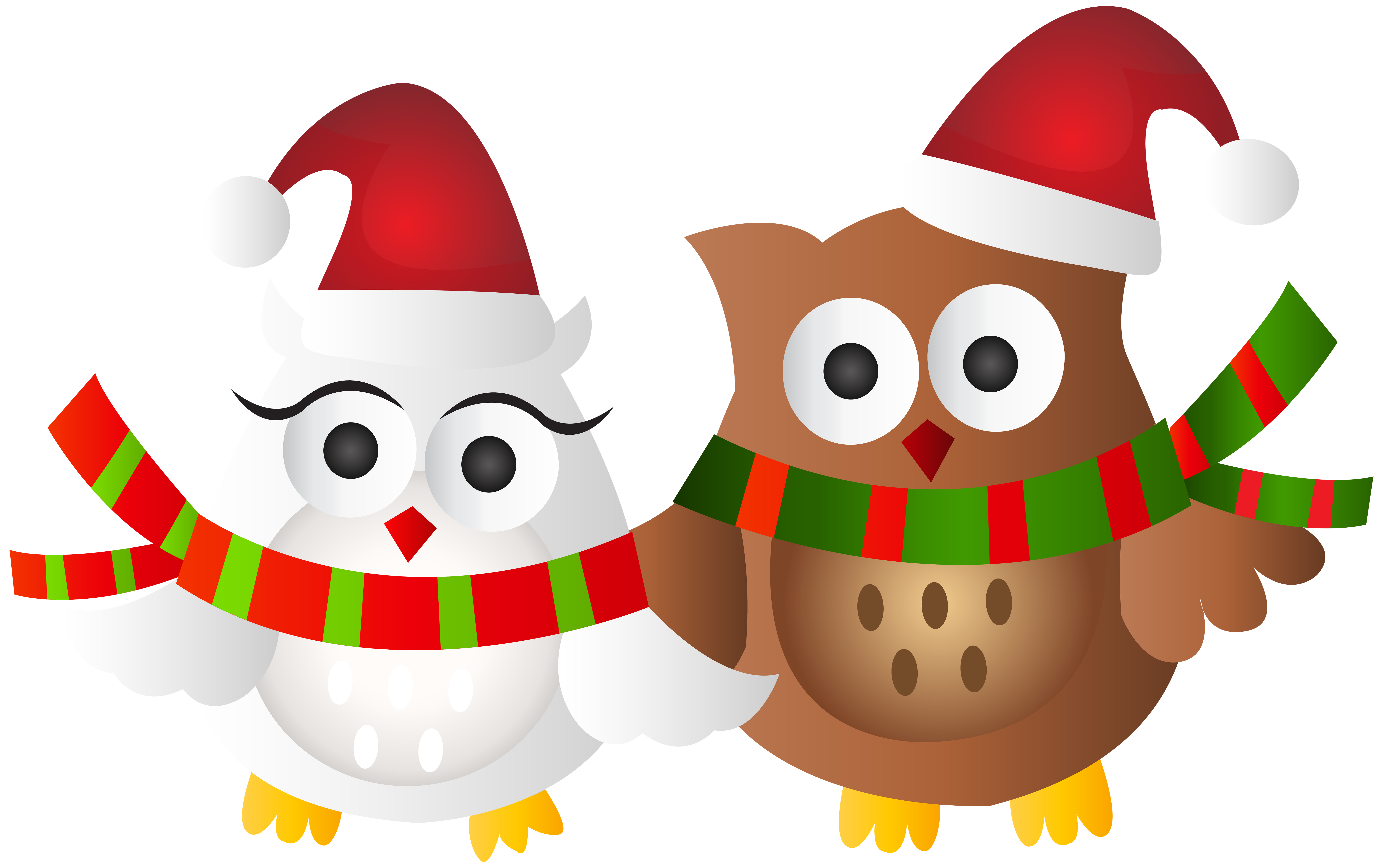 Christmas Owls Transparent Clip Art Image