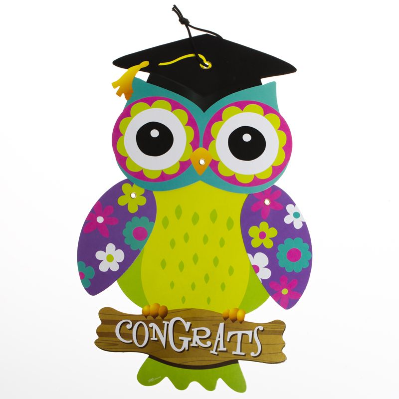 Owl cap and gown graduation