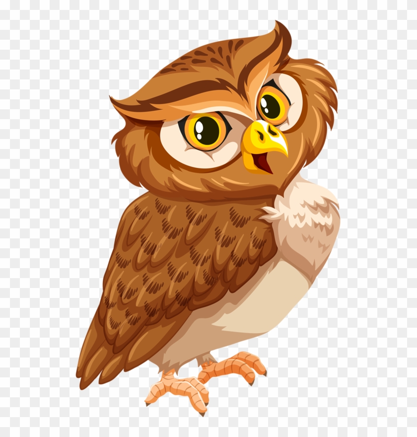 Owl png cute.