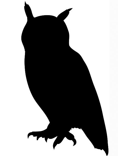 Flying owl silhouette.