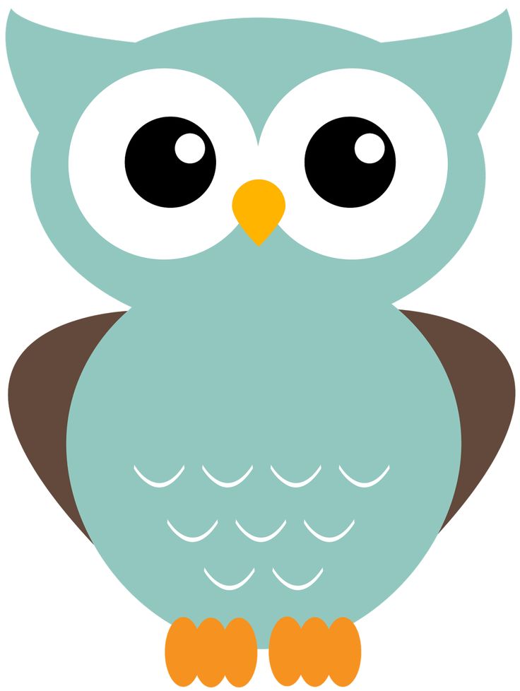Images about owl.