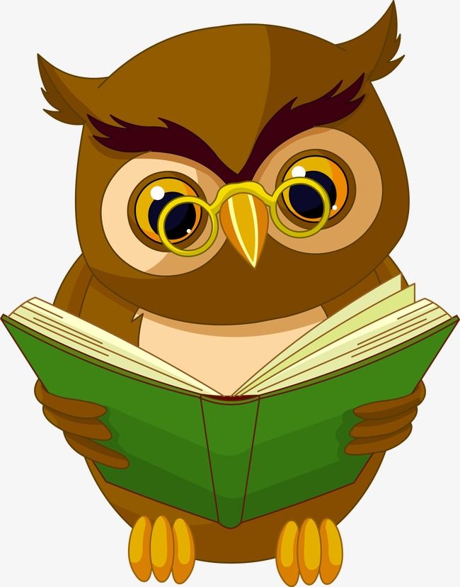 Owl reading reading.