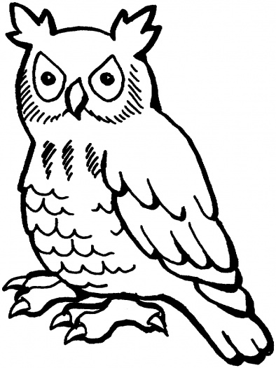 Free owl outline.
